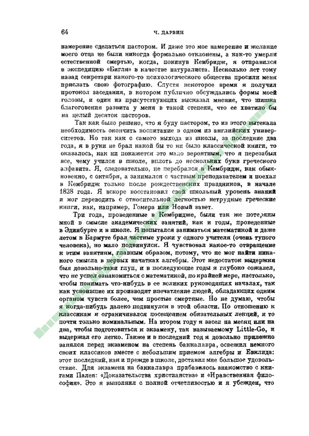 Page Background