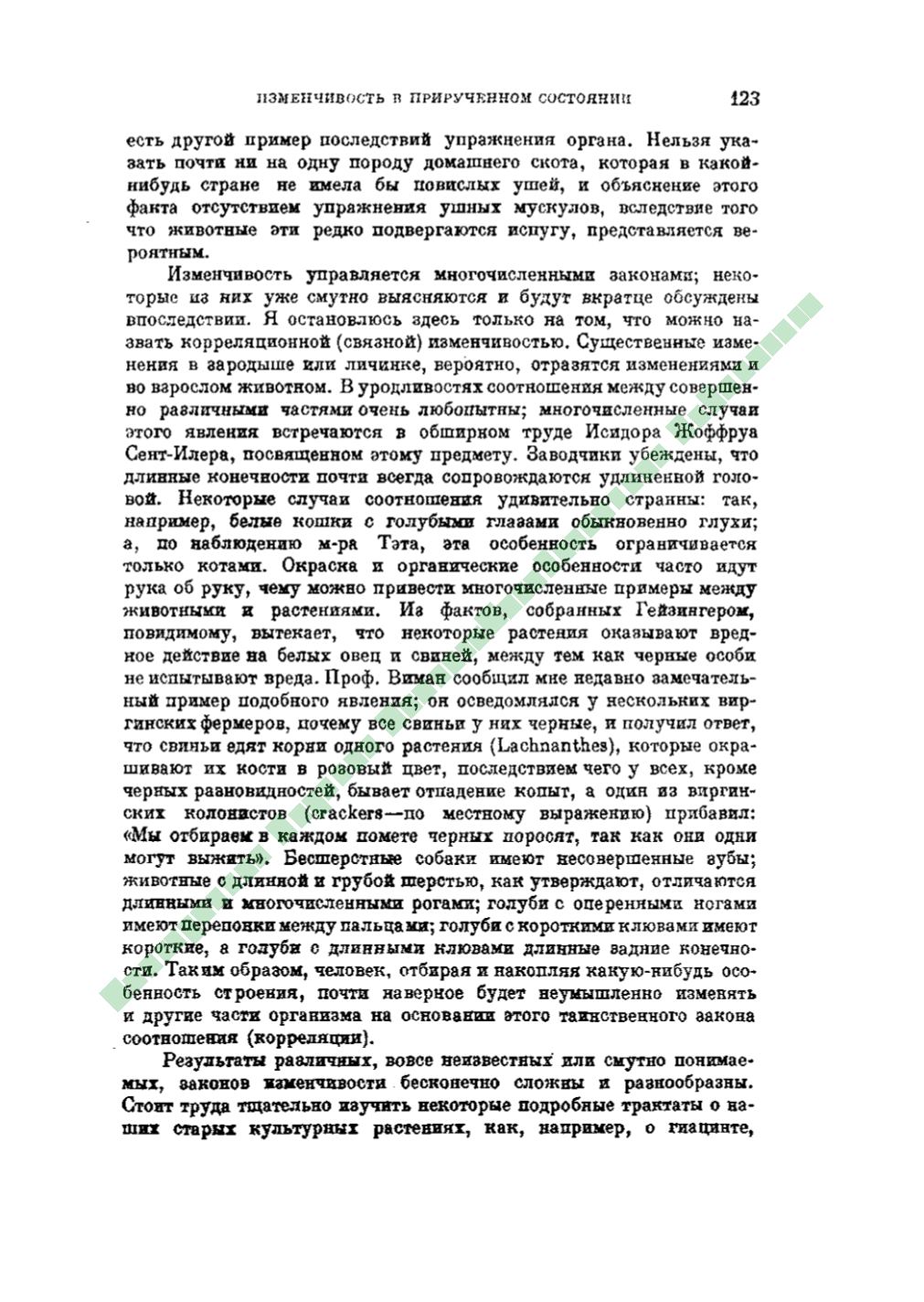 Page Background