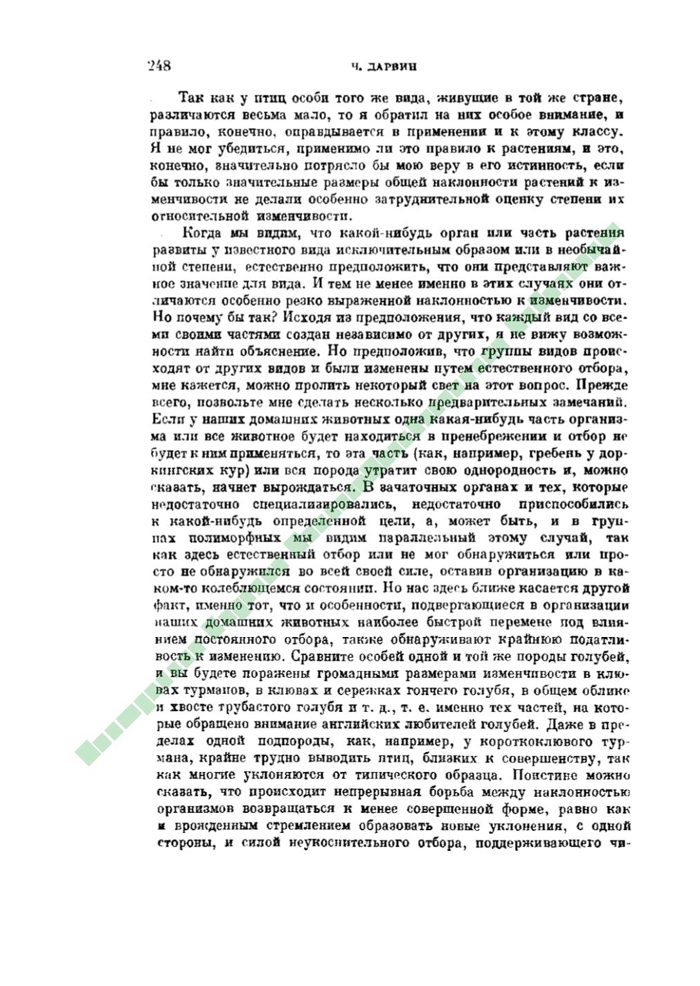 Page Background