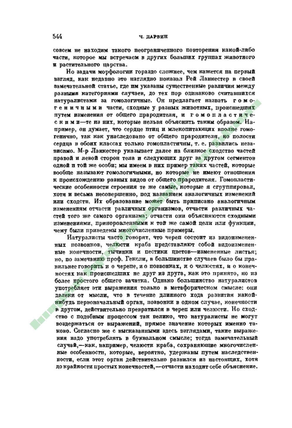 Page Background