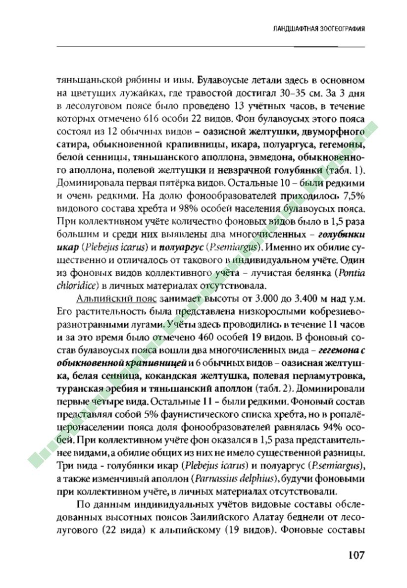 Page Background