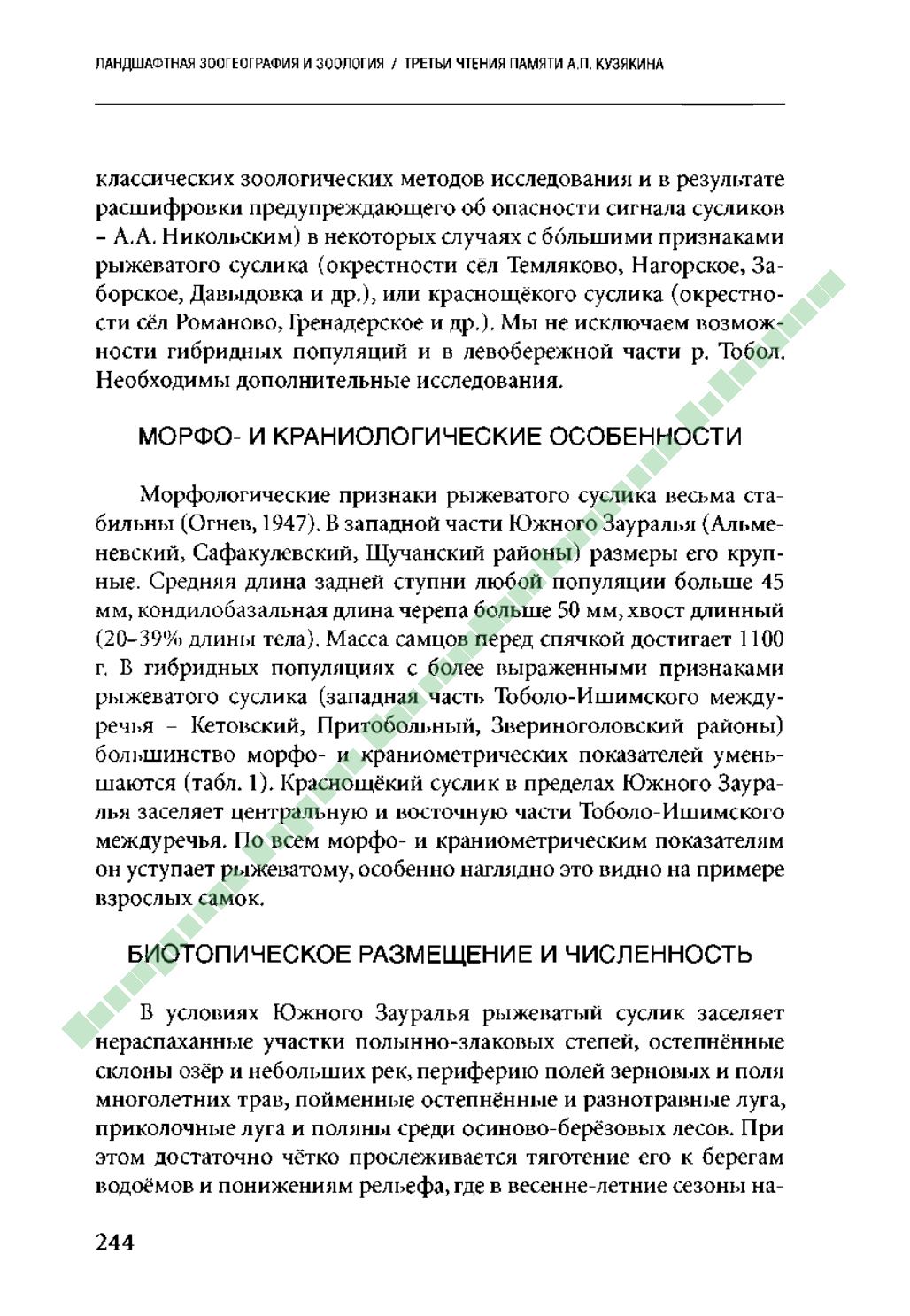 Page Background