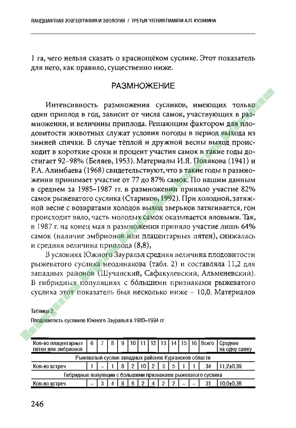 Page Background