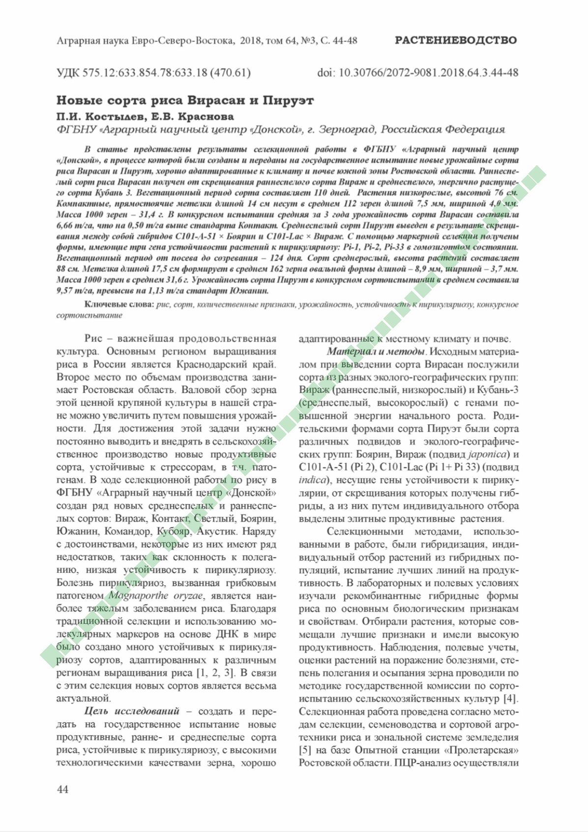 Page Background