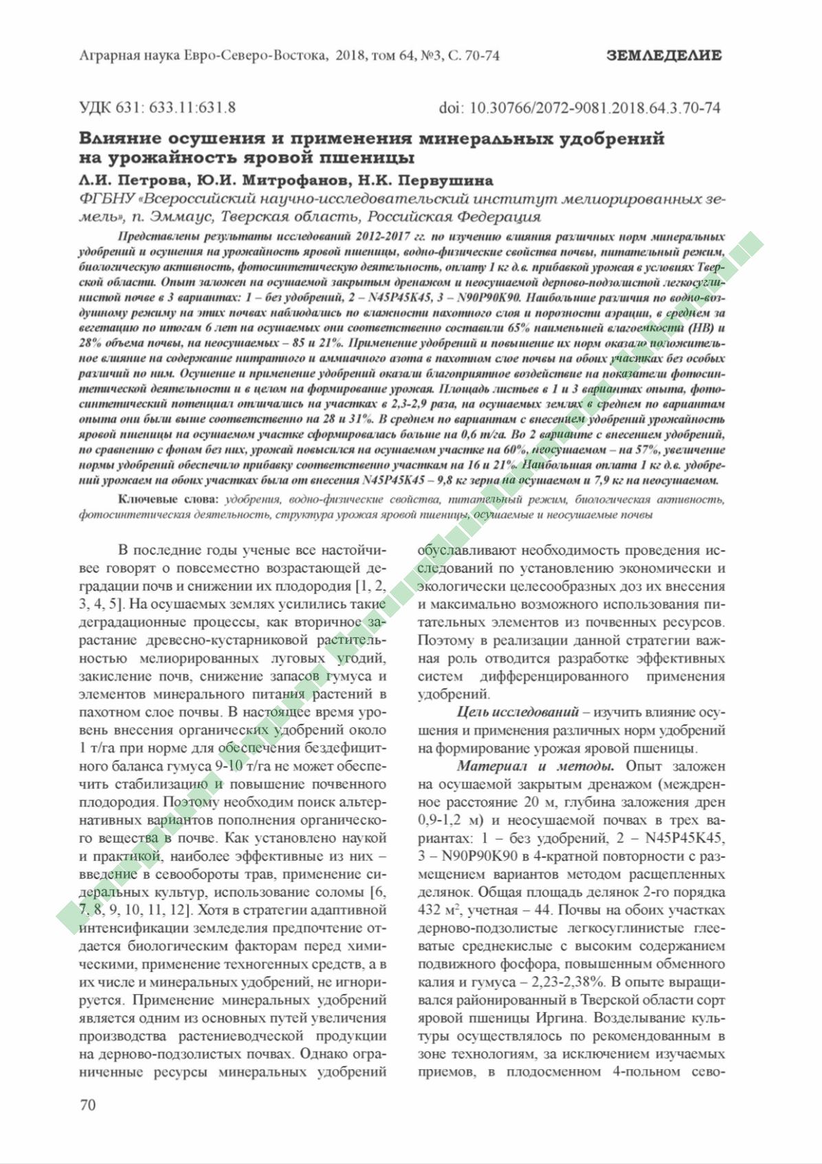 Page Background